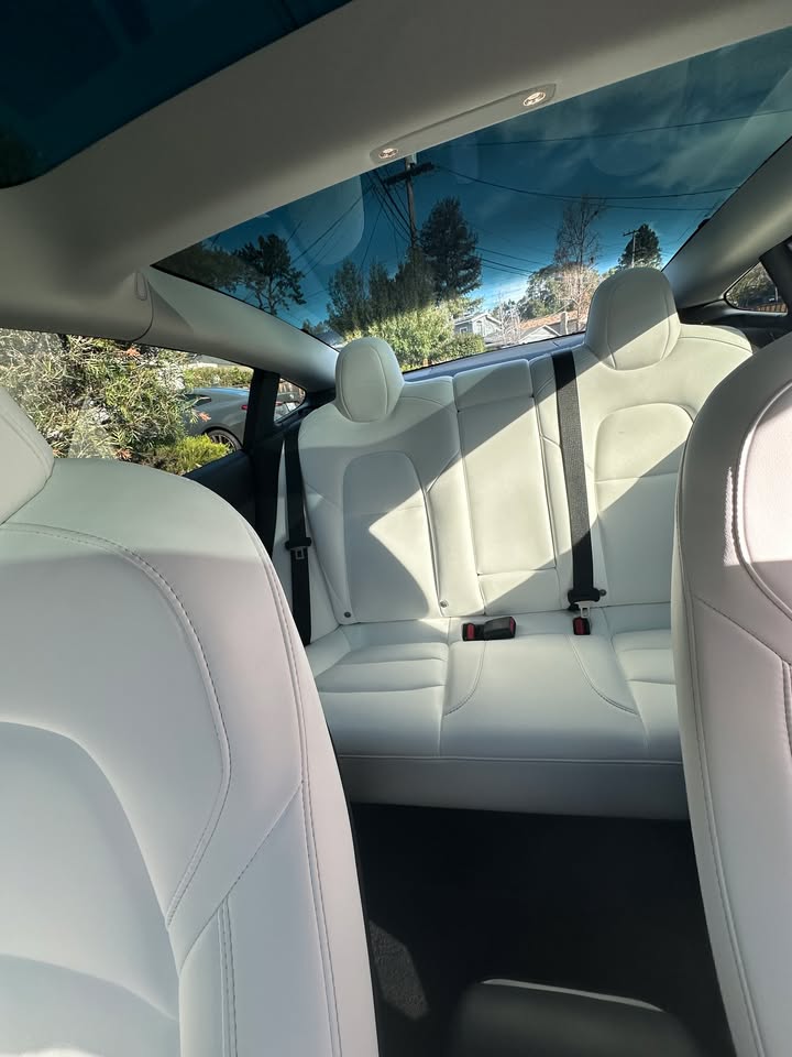 Tesla white interior under glass roof after full detail