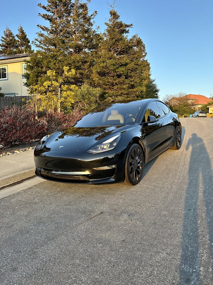 Freshly detailed black Tesla exterior gleaming in golden hour light